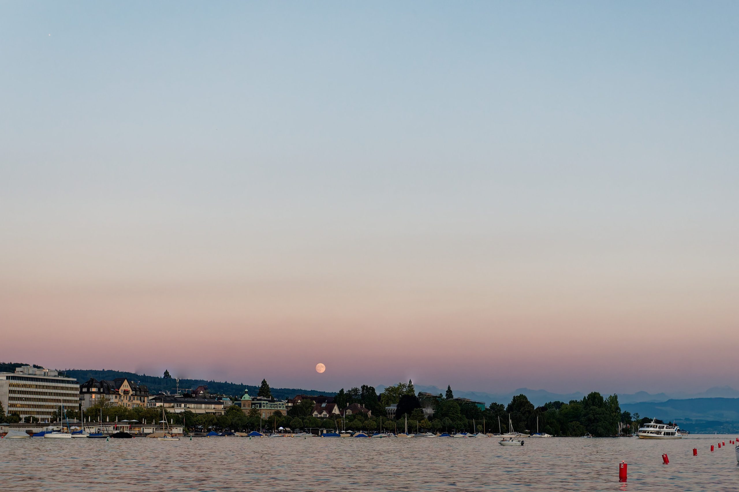 Marriage Proposal - Switzerland - Zurich - Demande en mariage Suisse - Private Cruise - Lucerne - Les Entremetteuses Swiss